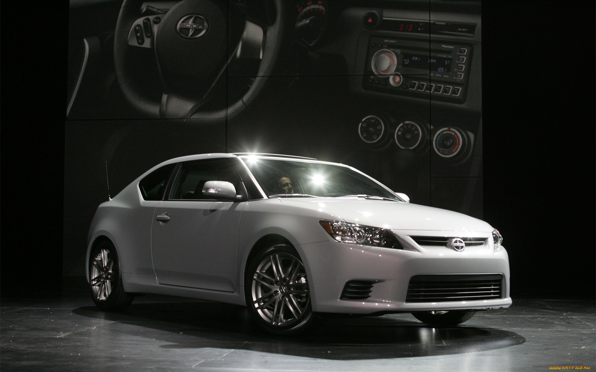 , scion